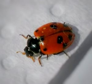 screenshot 2018 04 14 11 44 26 048 com778680203 - screenshot_2018-04-14-11-44-26-048_com778680203.jpeg