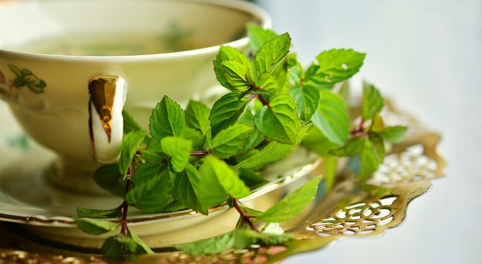 te verde - Beneficios de un buen té  Verde