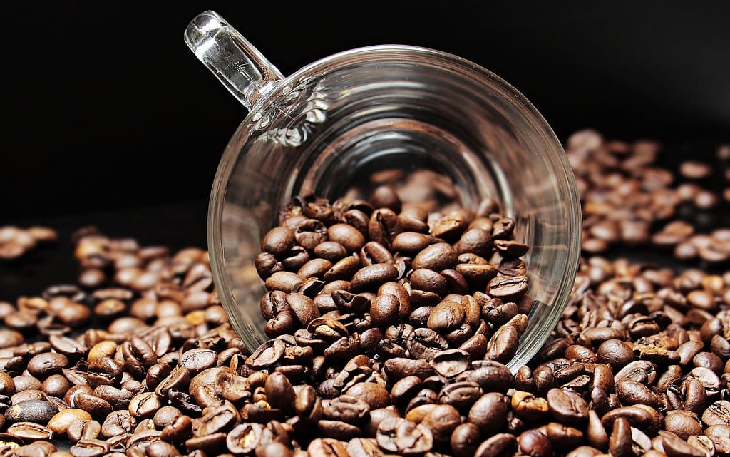 El secreto de un buen café coffee beans 2258839 1920 - El secreto de un buen café