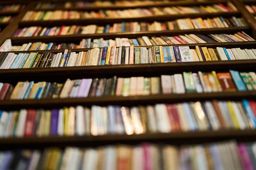 e-books vs. libros en papel pexels engin akyurt 2946979 2 - e-books vs. libros en papel
